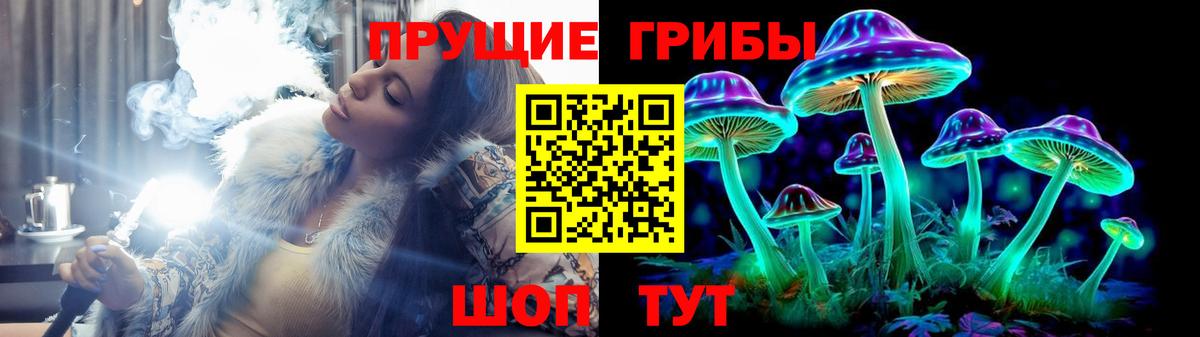 Кудымкар  Псилоцибиновые грибы Cubensis  Вход с VPN  Псилоцибиновые грибы прущие грибы 