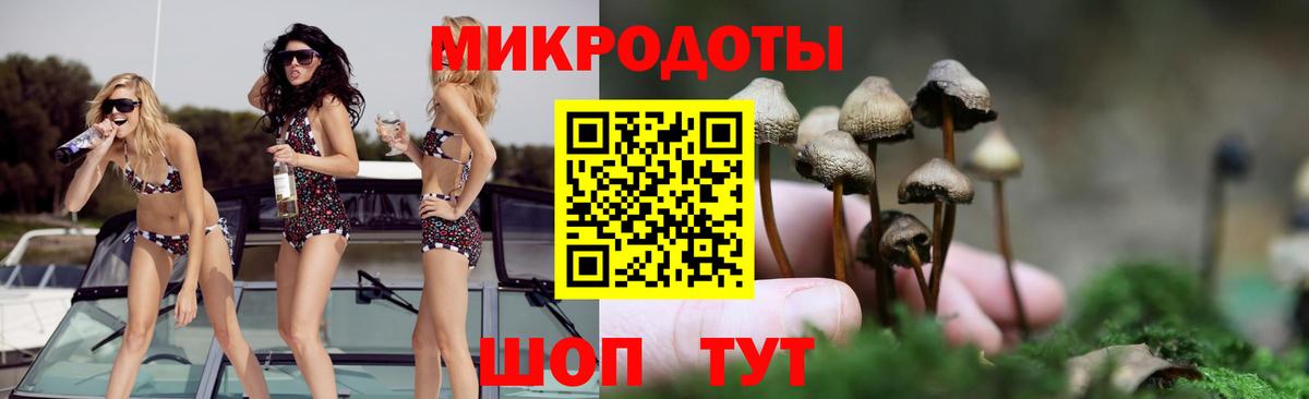 Галлюциногенные грибы прущие грибы Кудымкар